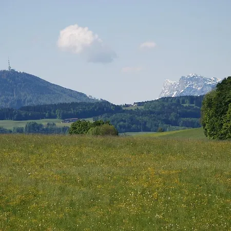 Brieger 3* Henndorf am Wallersee
