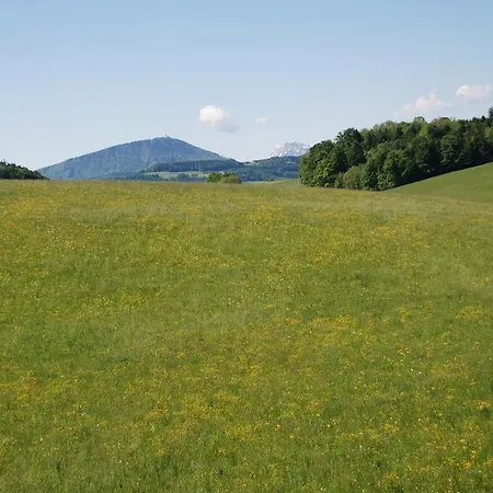 Otel Brieger Henndorf am Wallersee